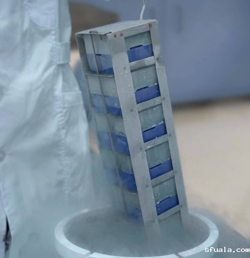 冻存架与冻存管 冻存架与冻存管