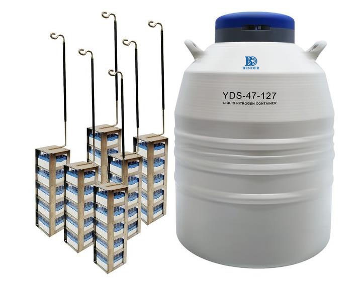 开云电竞手机app