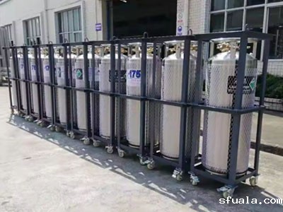 杜瓦瓶210-1.4 等离子清洗机液氮罐