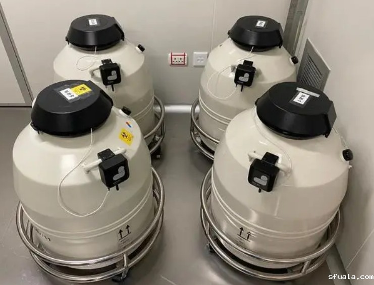 mve液氮罐 mve液氮罐