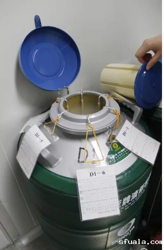 大口径液氮罐 大口径液氮罐