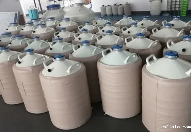 液氮罐