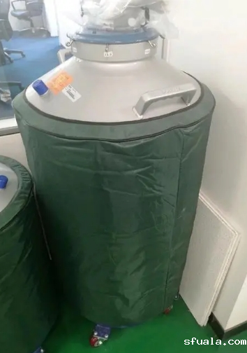 东亚液氮罐 东亚液氮罐