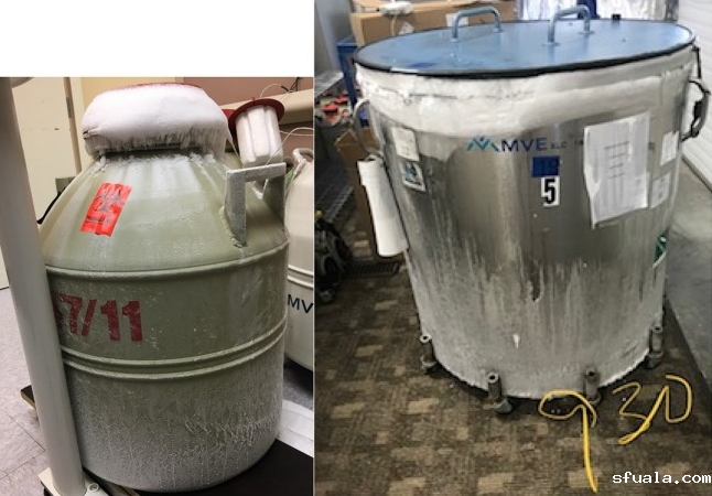 液氮罐
