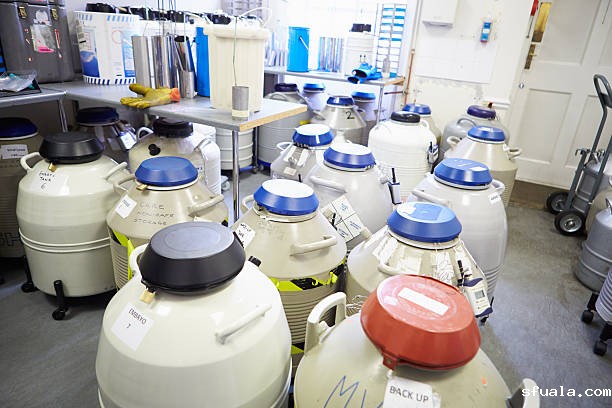 mve液氮罐 mve液氮罐